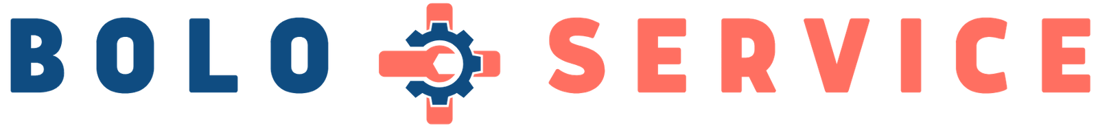 BOLO SERVICE Logo